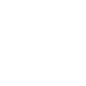 Diverse Areas of Practice